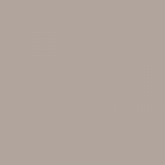 97-bezowy-polysk-pet.png